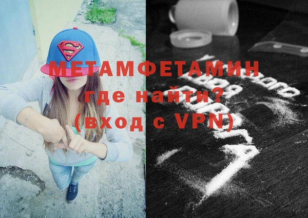шишки Белокуриха