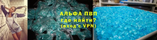 a pvp Магас
