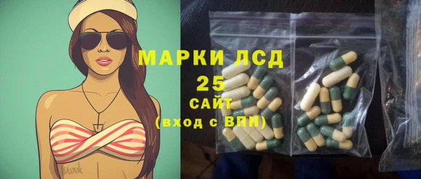 шишки Белокуриха