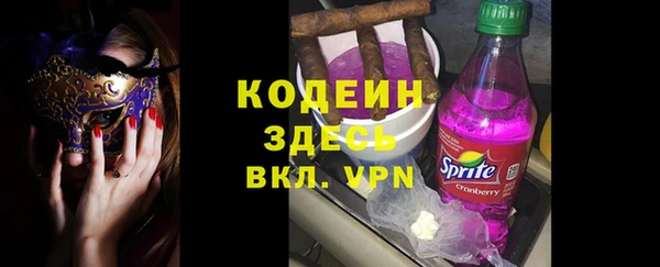 шишки Белокуриха