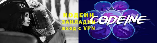 шишки Белокуриха