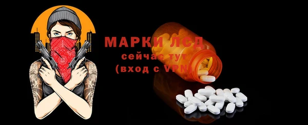 a pvp Магас